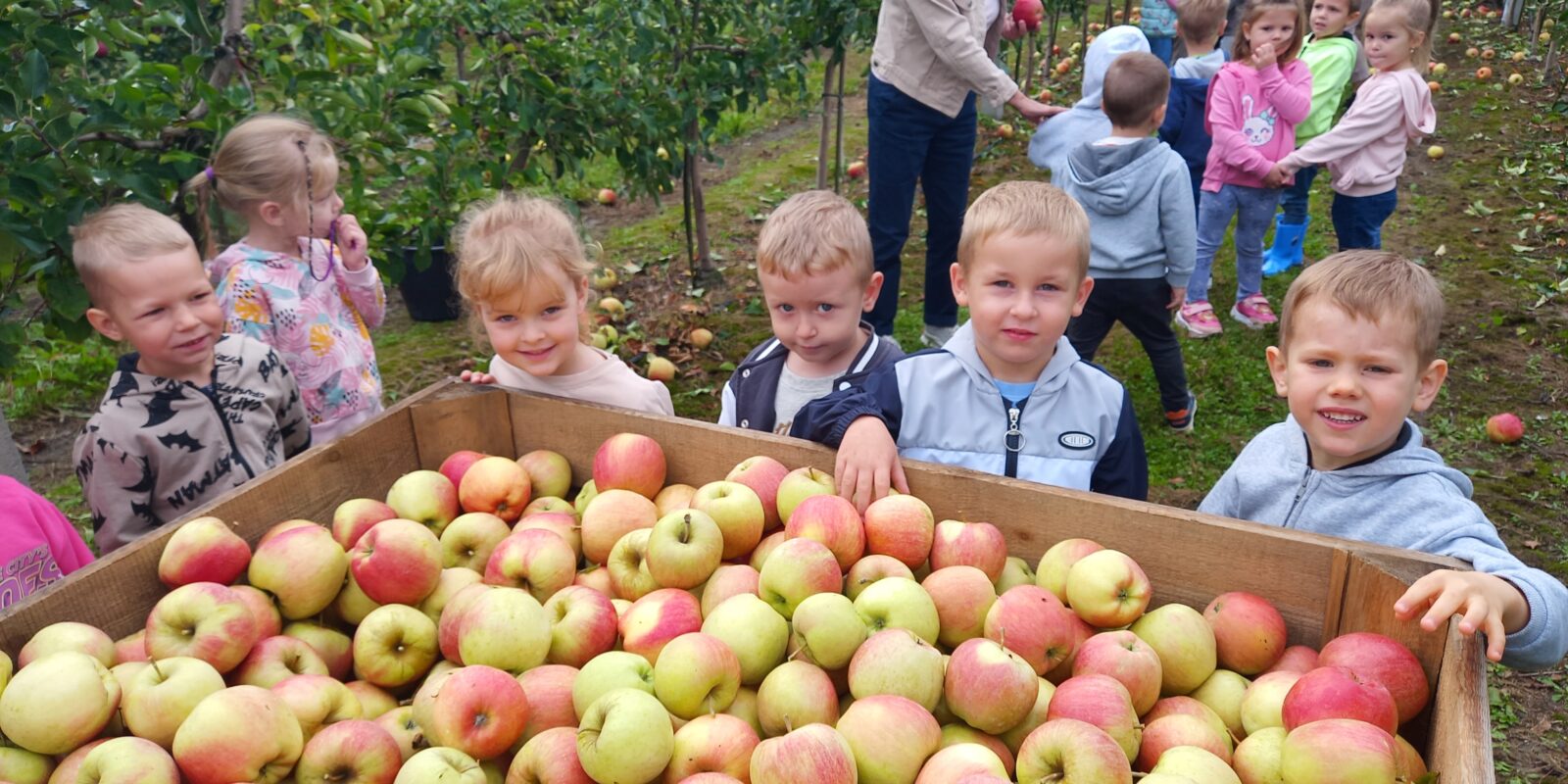 dzieci wśród jabłek