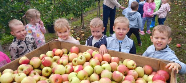 dzieci wśród jabłek